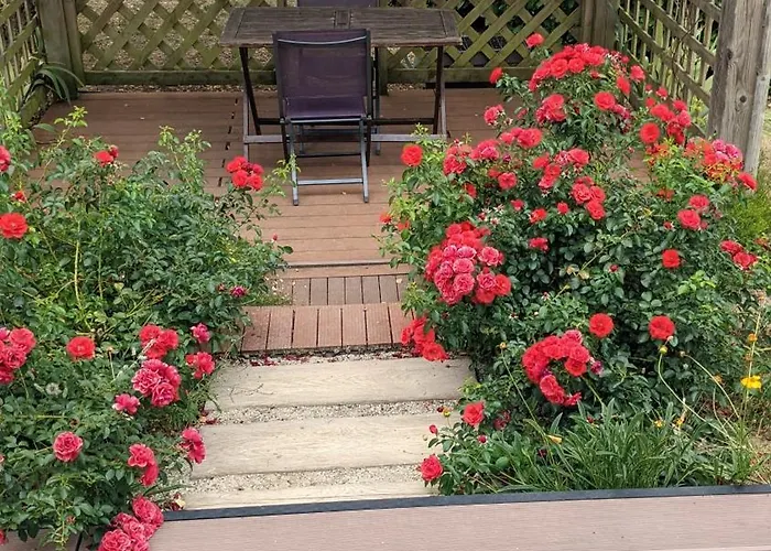 Feriehus La Brugue Avec Piscine A 5 Mn D'albi